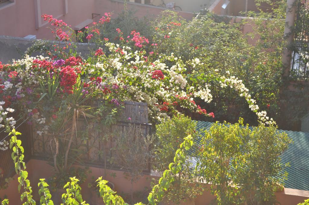 Andalou Apartment *