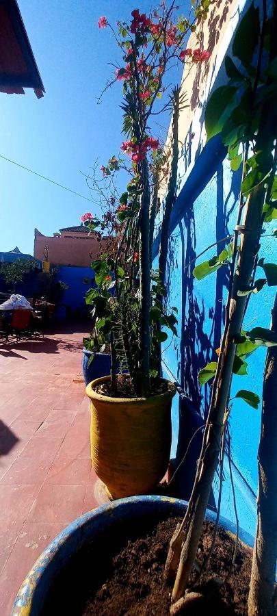 Riad Mamma House Acomodação com café da manhã  Marraquexe