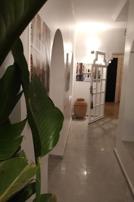 Lila Fantastic House For Up To 8 People In Palmeraie Marrakesh