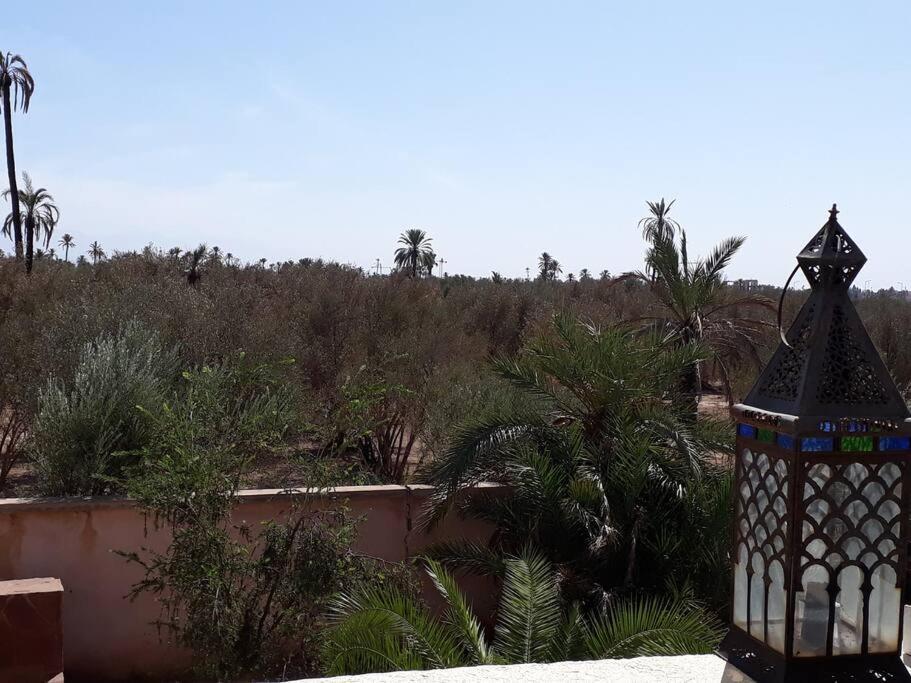 Lila Fantastic House For Up To 8 People In Palmeraie