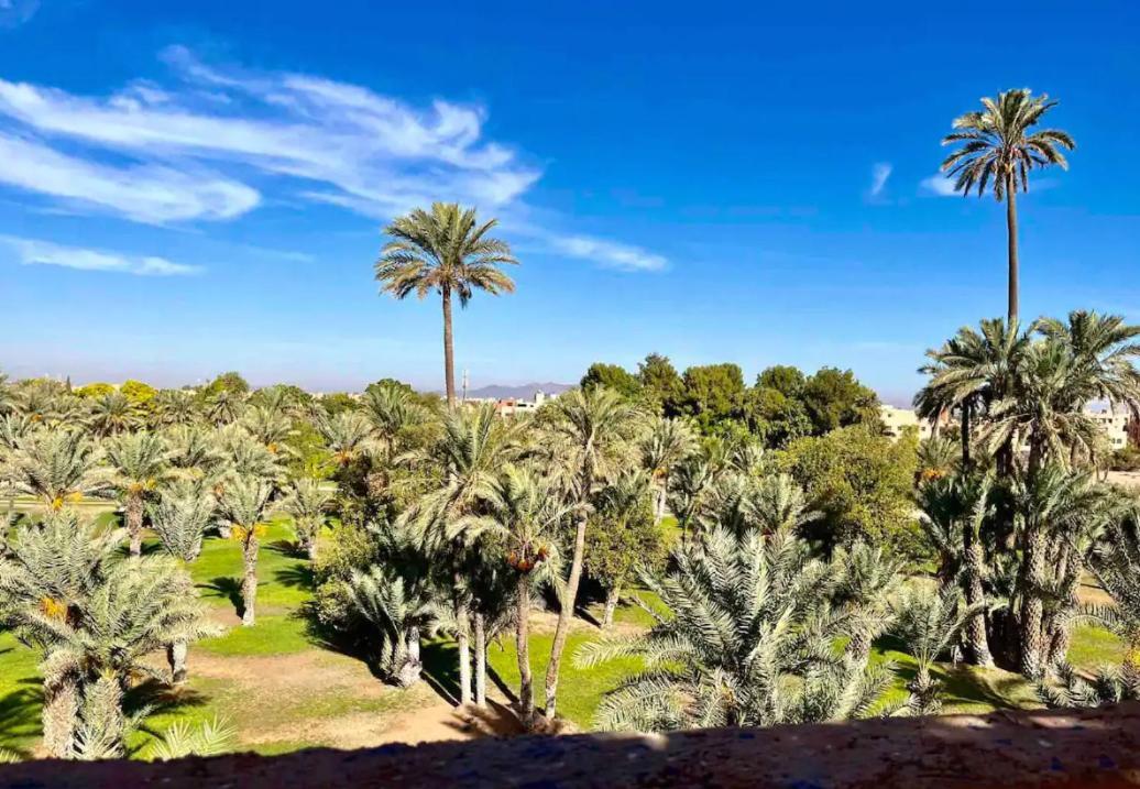 Chez L'amazigh Hébergement de vacances