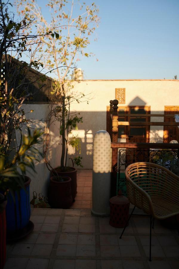 Alena Marrakesh