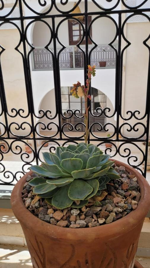 Nohad Marrakech Riad *