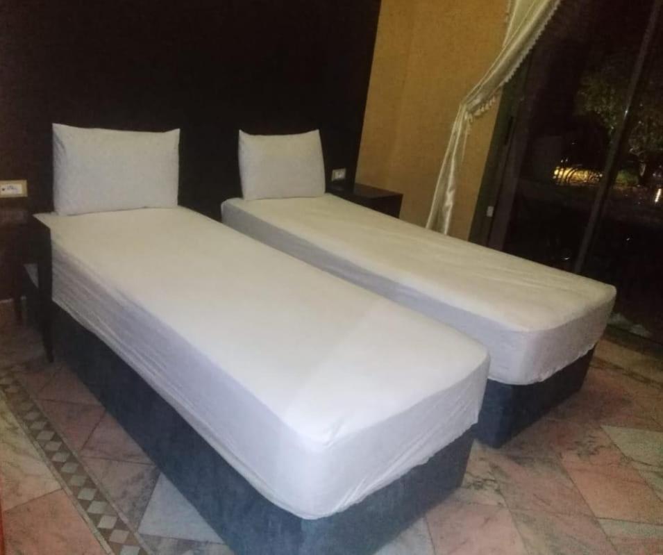 Appartement Palmeraie Village