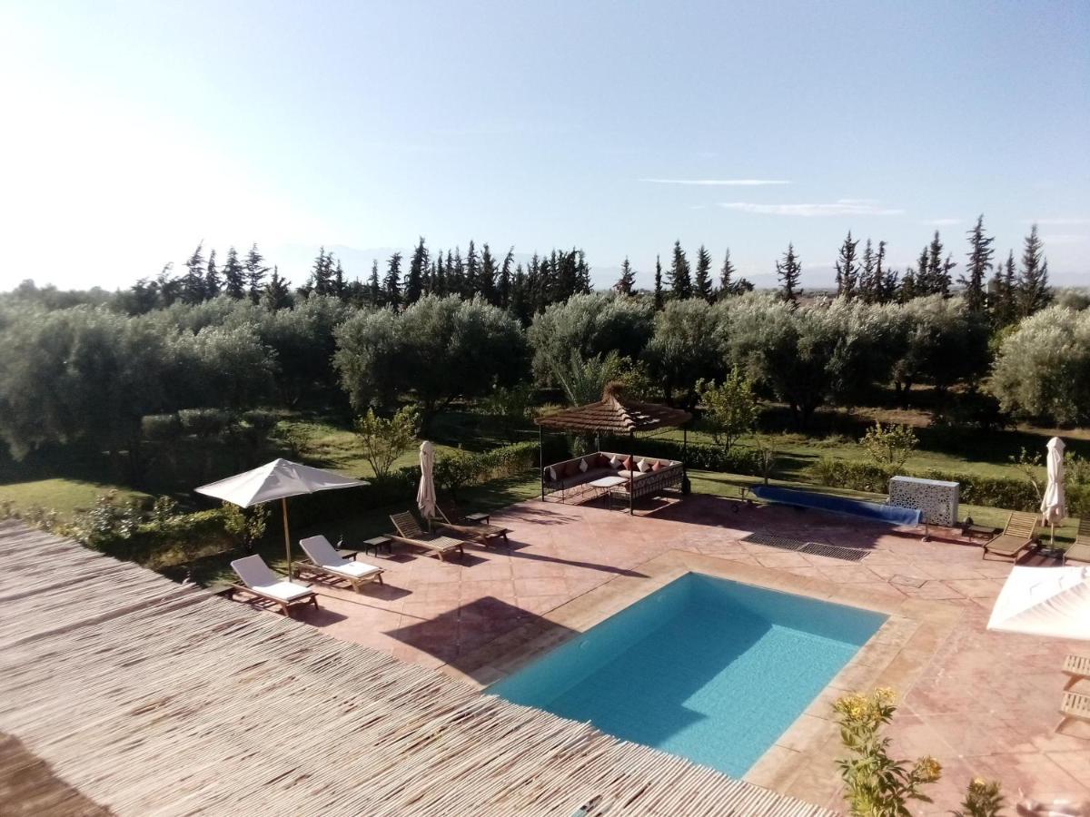 Malaa'ika * Marrakesh