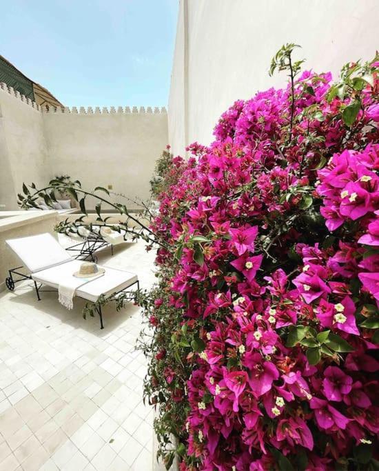 Villa Vivre - Design Boutique In Marrakech