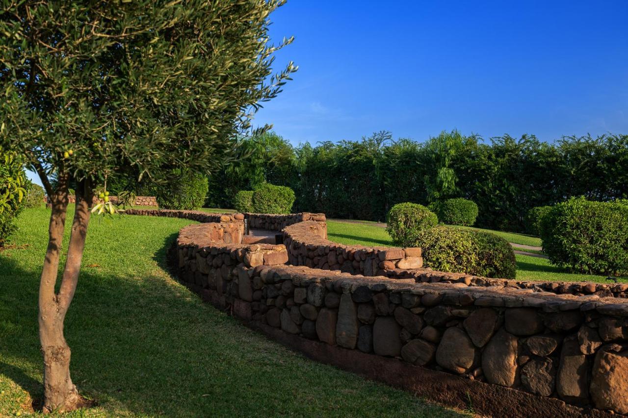 Acomodação com café da manhã  Le Palais Paysan