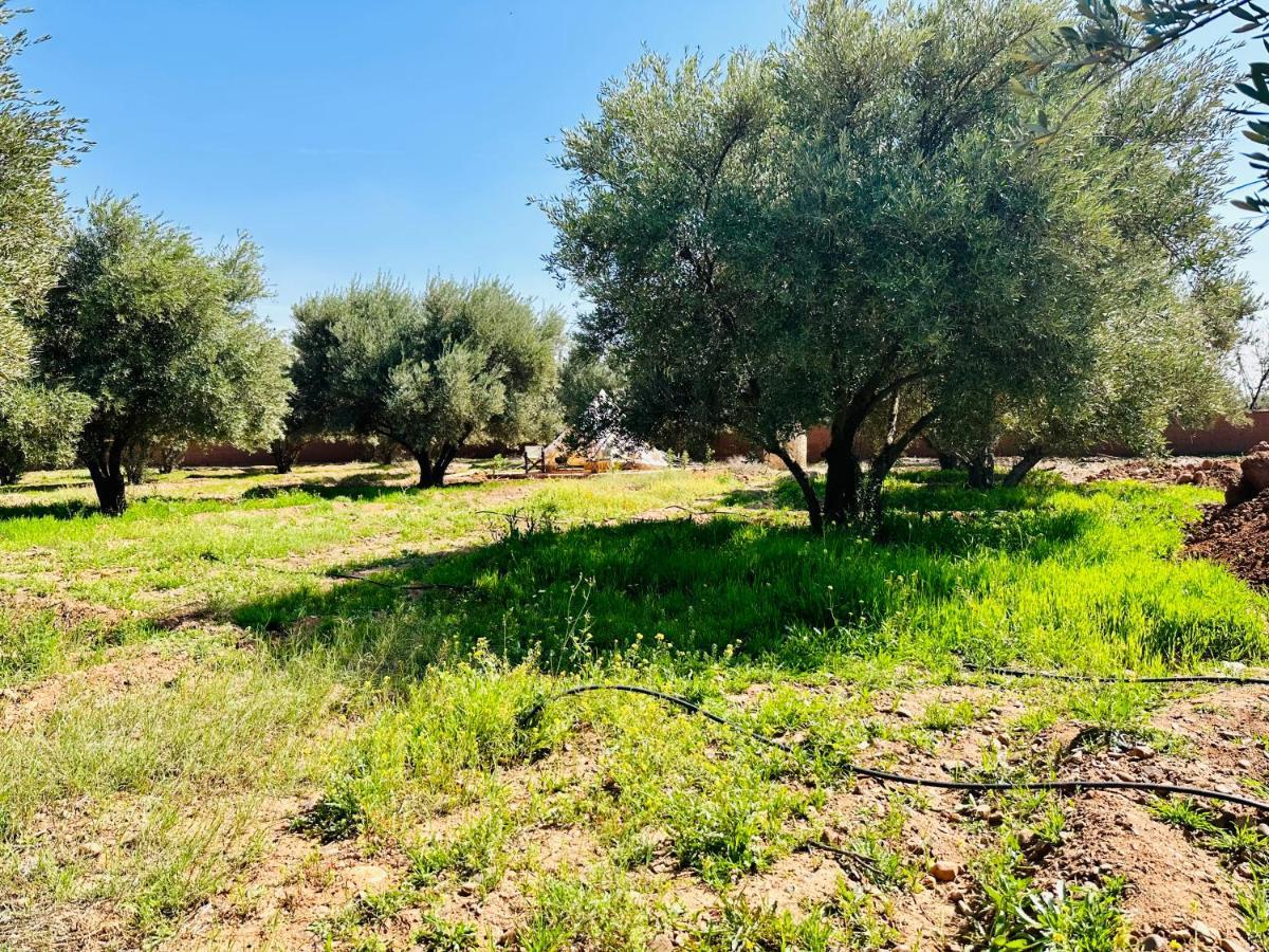 La Ferme Des Tipis Marrakech