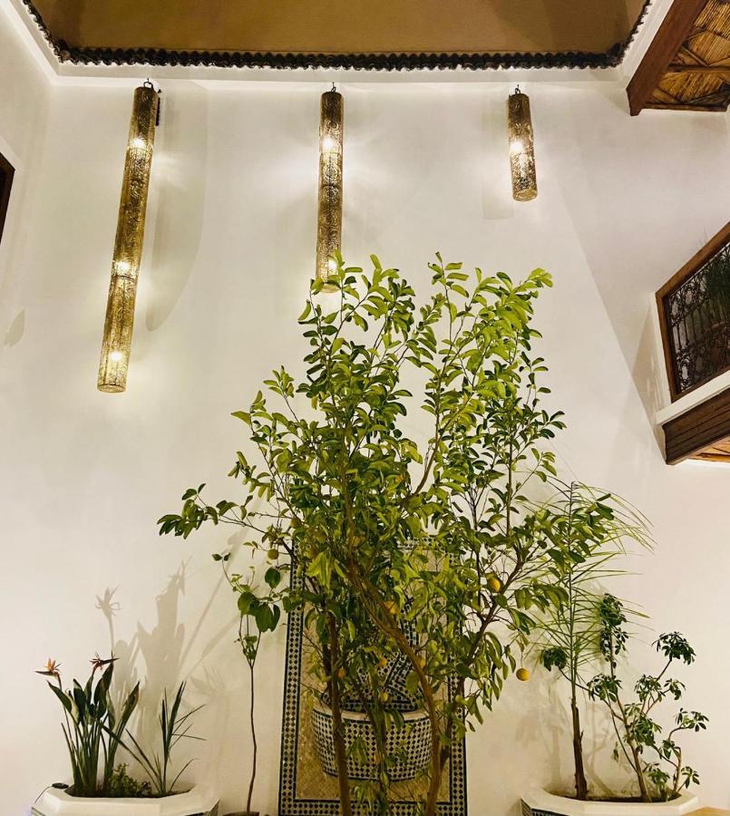 Guest house Limonata *