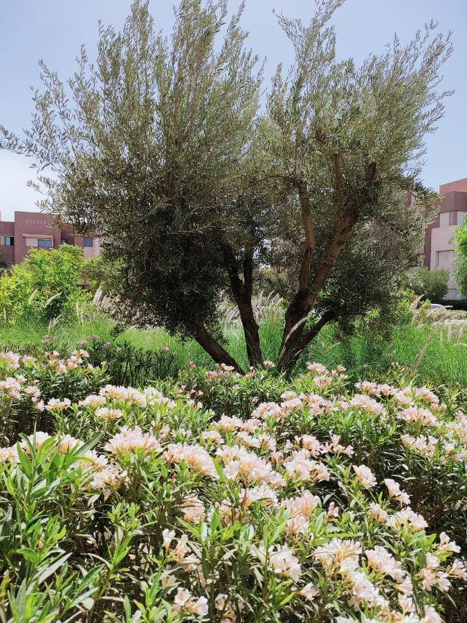Prestigia Marrakech Dar Cheryana * Marrakesh