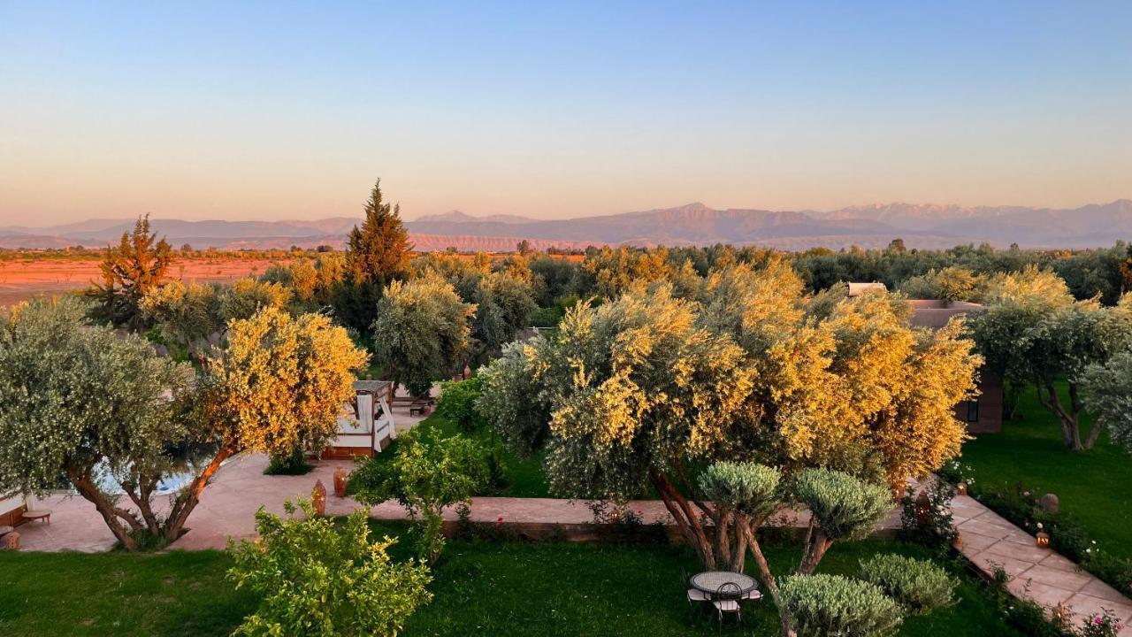 Malaa'ika Marrakesh