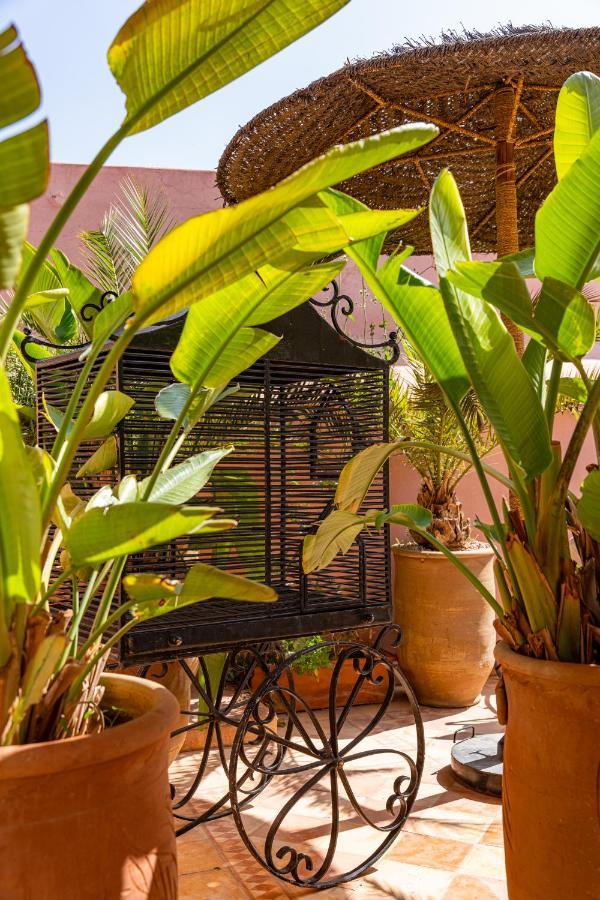 L'oiseau Du Paradis Riad 3*