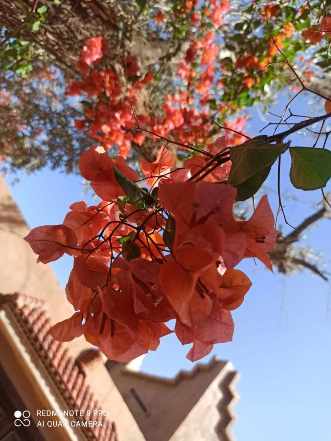 Guest house Casa Del Senator Ourika Marrakesh