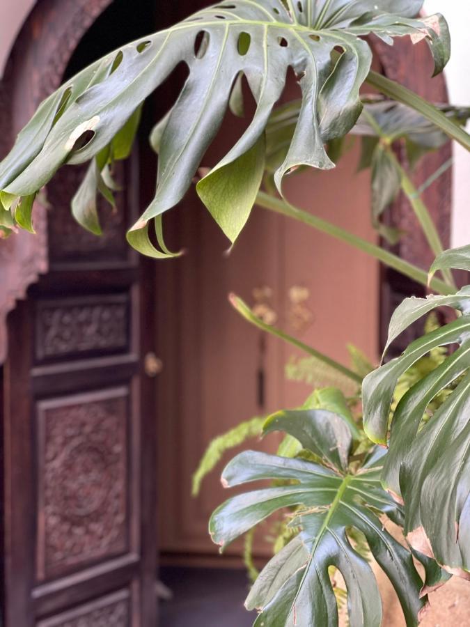 Riad Chocolat