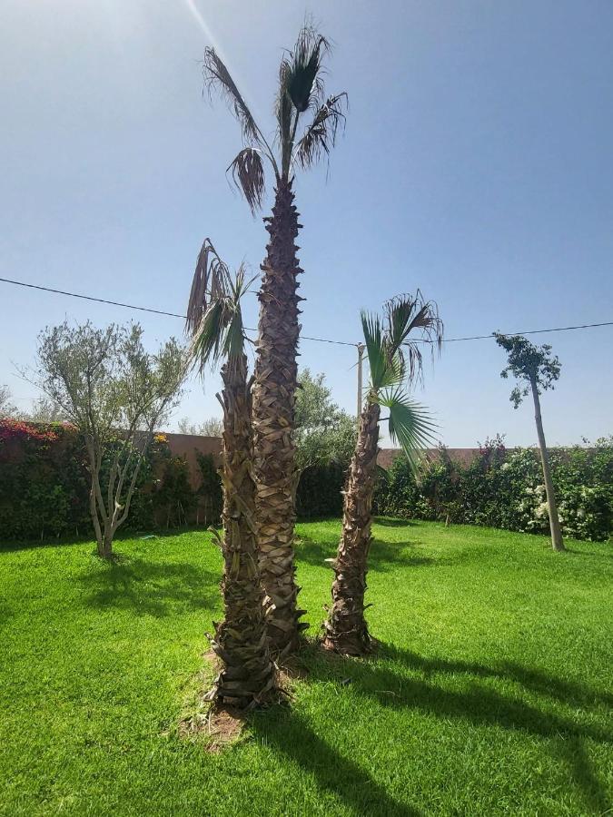 Dar Sofia * Marrakesh