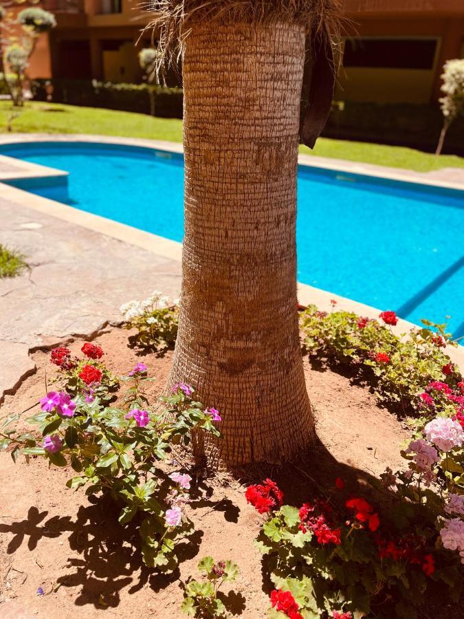 Mirador Majorelle Appartement *