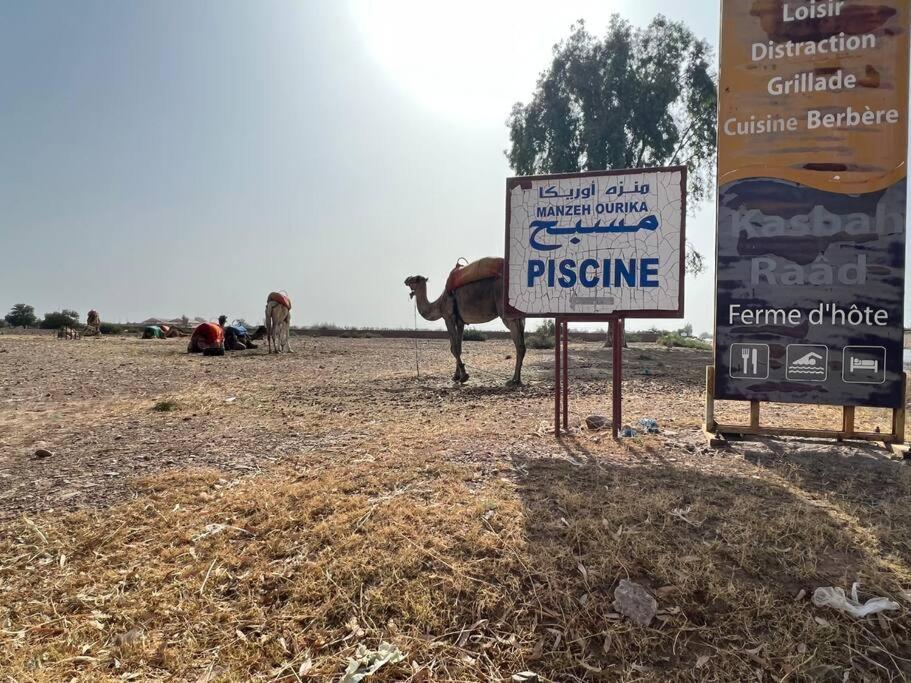 Privative Tortues2 Piscine Chauffee 35min Marrakech Marrakesh