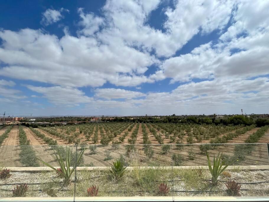 Di 550 Mq Con 4 Piscina E Terrazza Panoramica Pousada