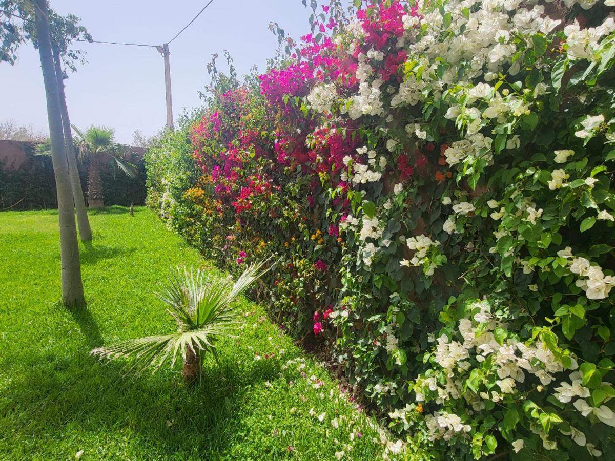 Dar Sofia Villa *