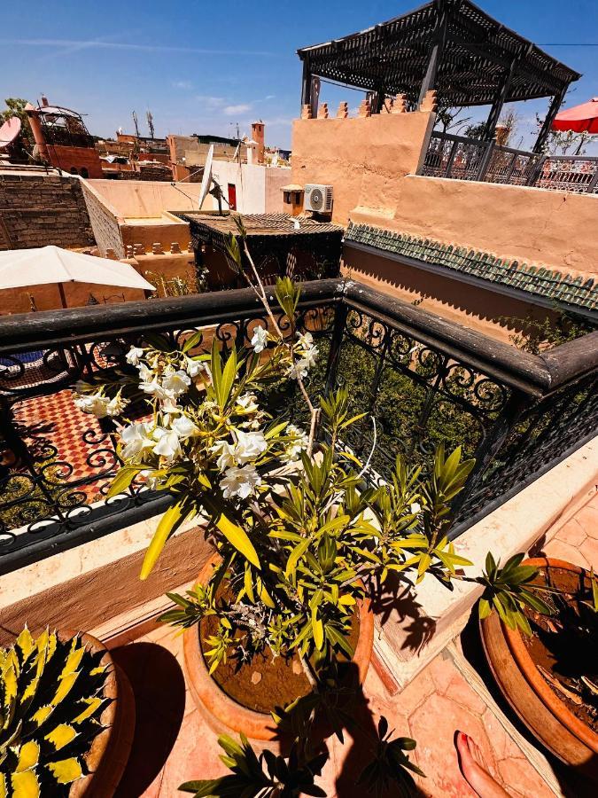 Msholidays Bassin Privatise Marrakech