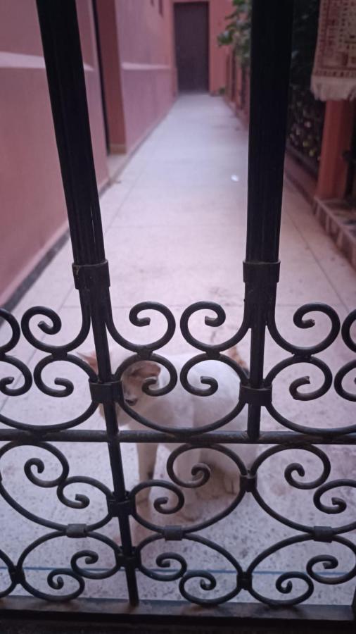 A Marrakech Dans La Touristique Al Qaria Assiyahia