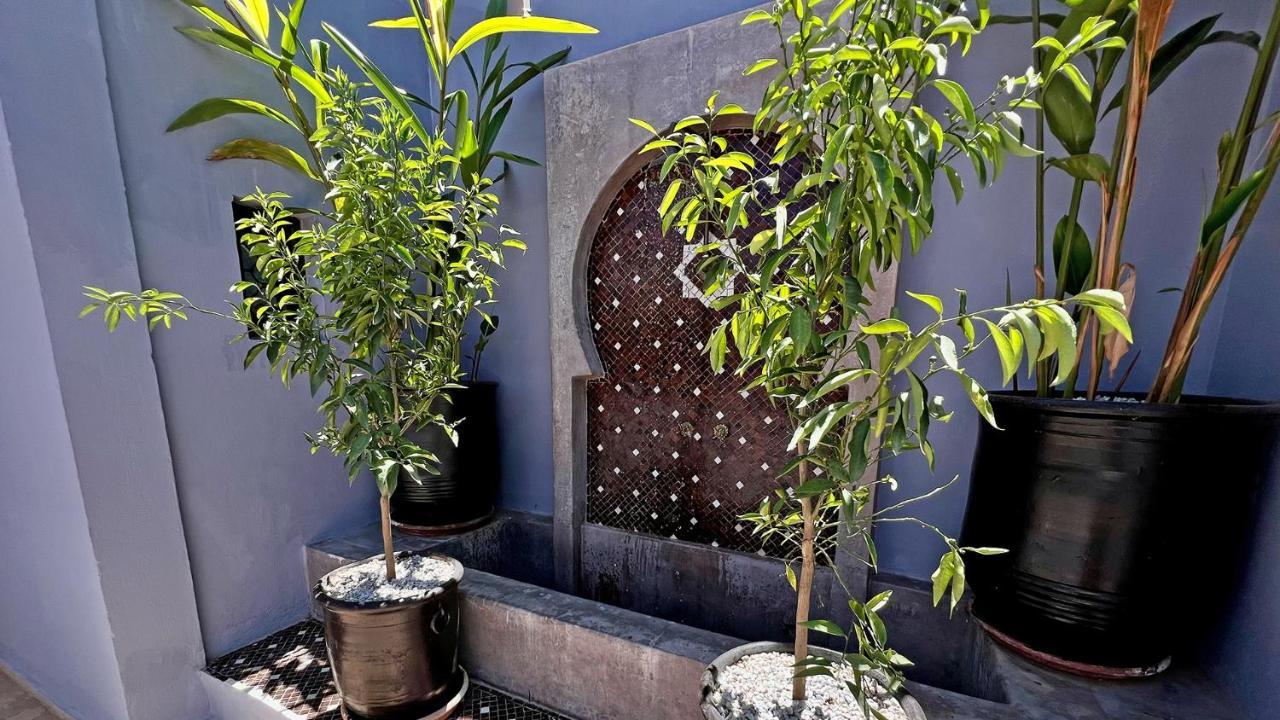 Pourpre Medina Guest house
