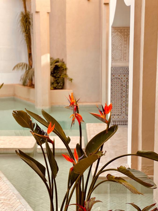 72 & Riad Marrakesh