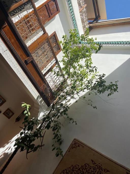 Pousada Alghani *