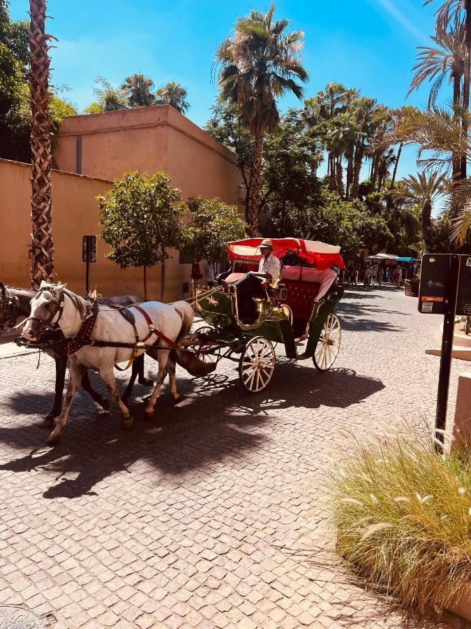 Appartement Mirador Majorelle *