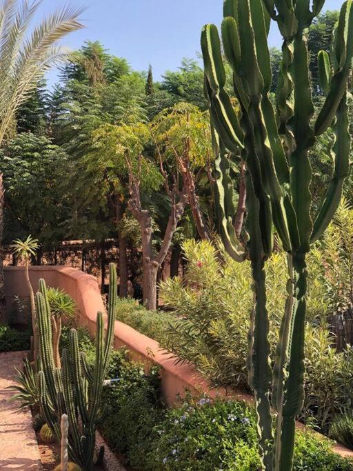Apartment Jolyamelkis - Golf Marrakech Marrakesh