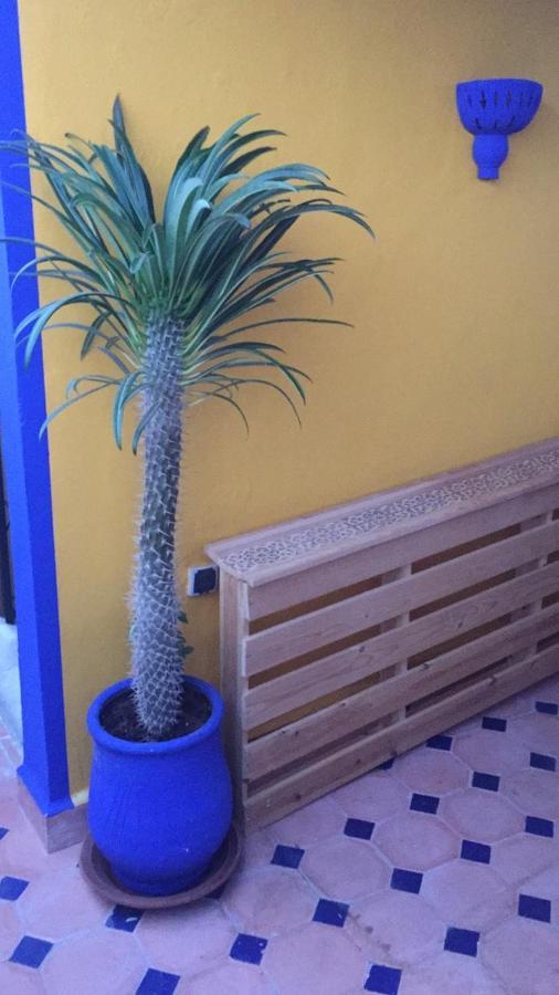 Riad Authentic Moroccan Charm In Marrakech Terrace Marrakesh