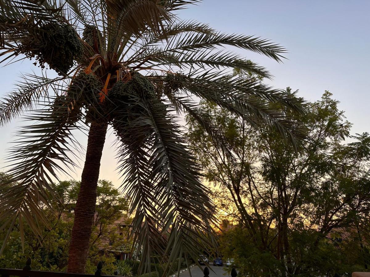 Palm View Marrakesh