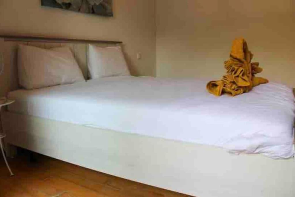 Apartamento Magnifique Rez De Jardin A Agdal Marrakesh