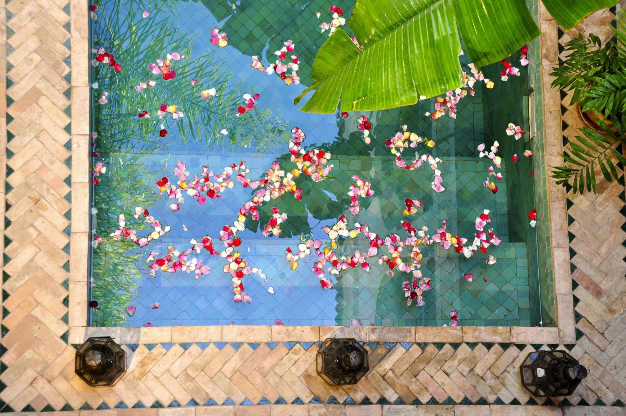 Aguaviva Riad *
