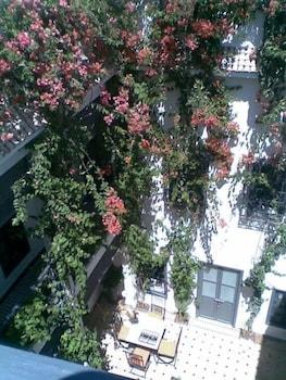 Bougainvillea Marraquexe