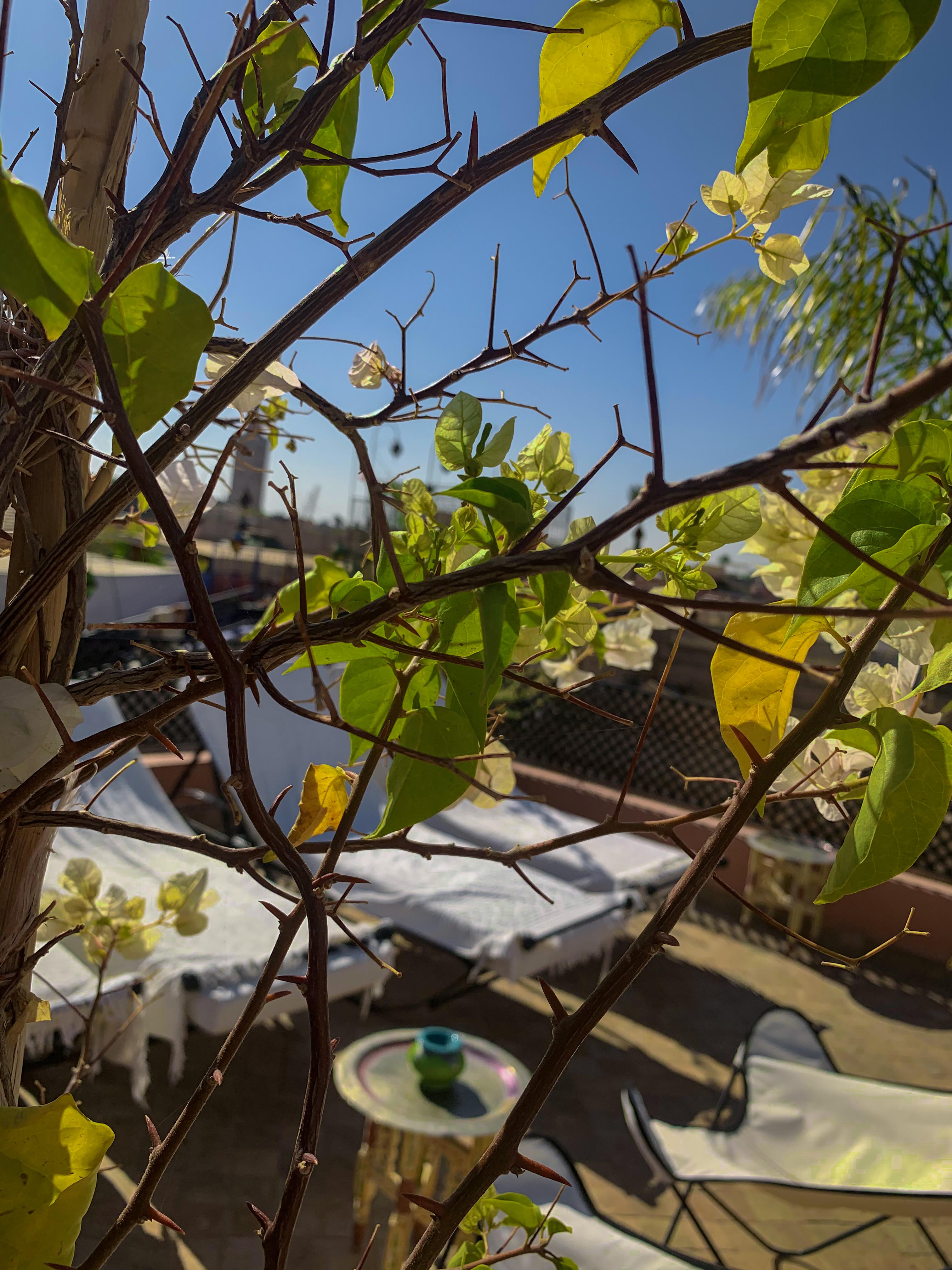 Riad Abaka & Boutique 4* Marrakesh