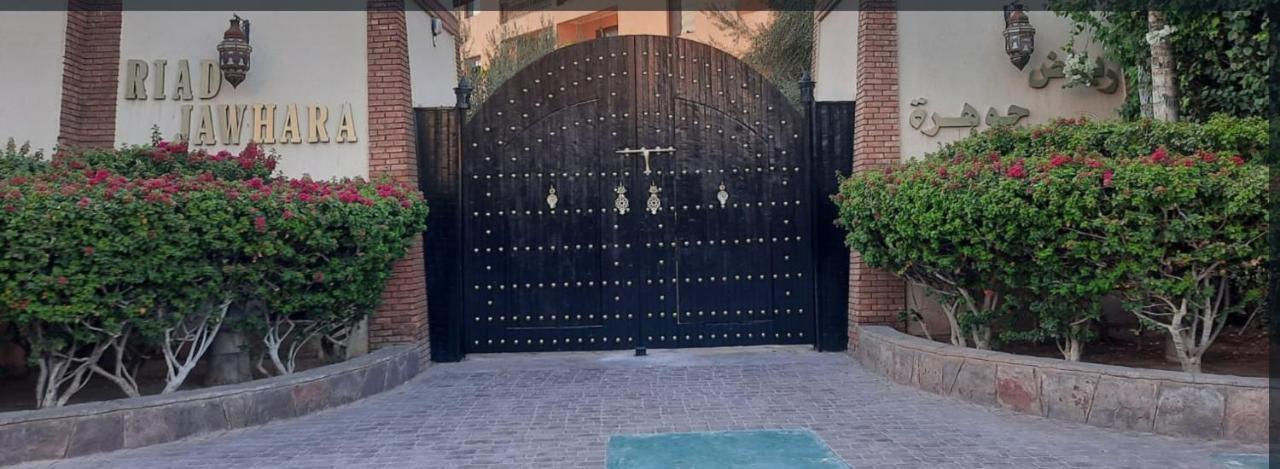 Riad Jawhara-dar Flora Apartment