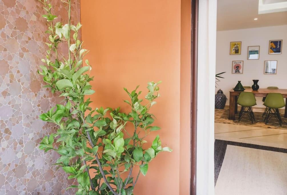 Apartamento Appart Avec Grande Terrasse, Carre Eden Marrakech *