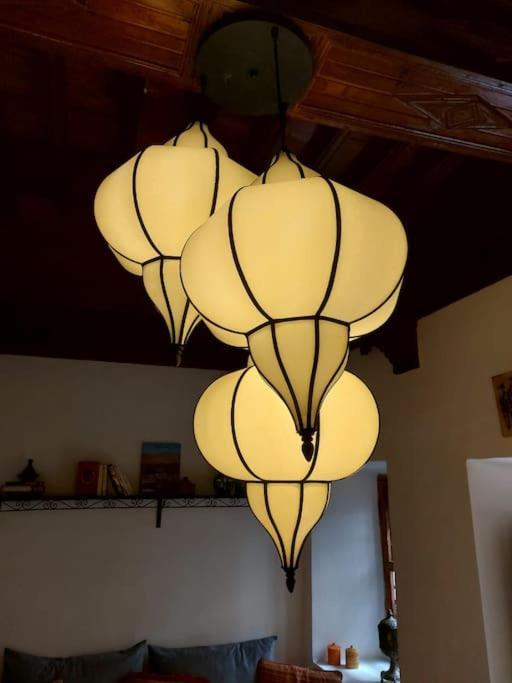 Sophora - Peaceful Heaven In Marrakech Marrakesh