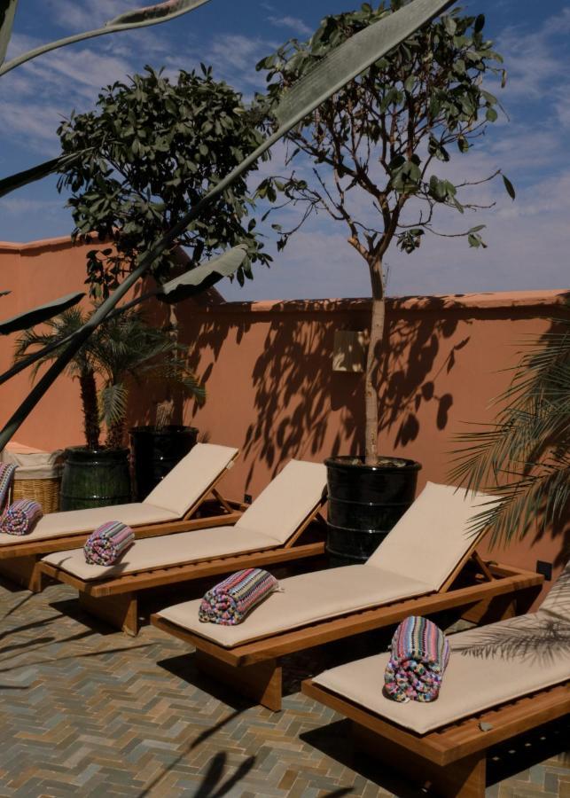 Pompon Marrakesh