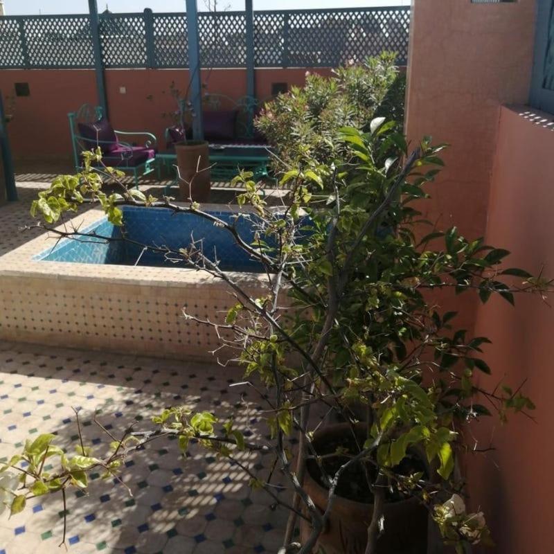 Dar 14 Marrakech Riad *