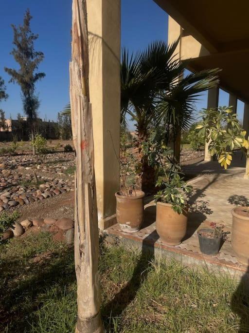 Dar Amali, Spacieuse 9ch Avec Piscine En Exclusivite Marrakesh