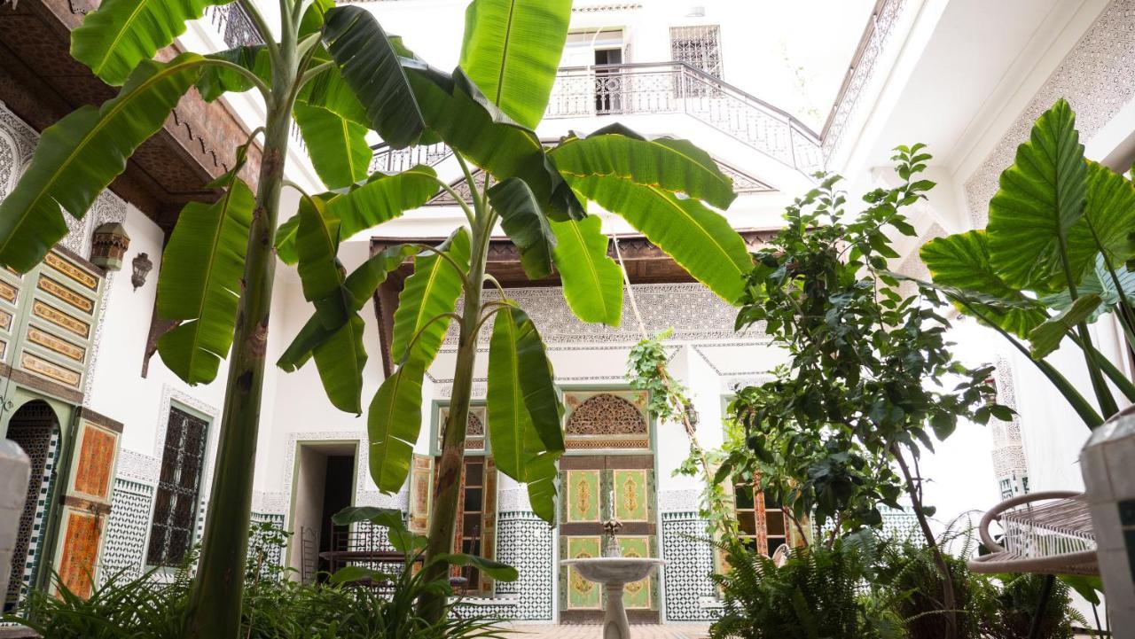 Riad Afous *