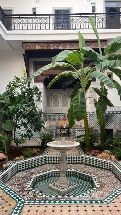 Afous Marrakesh