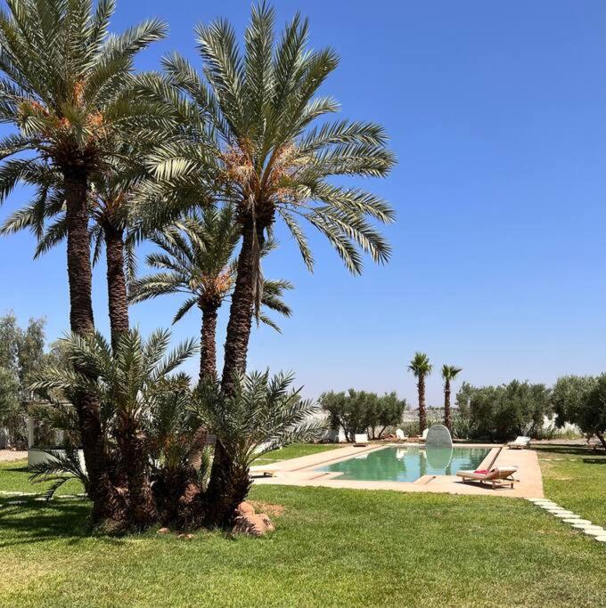 Dais - Marrakech * Marraquexe