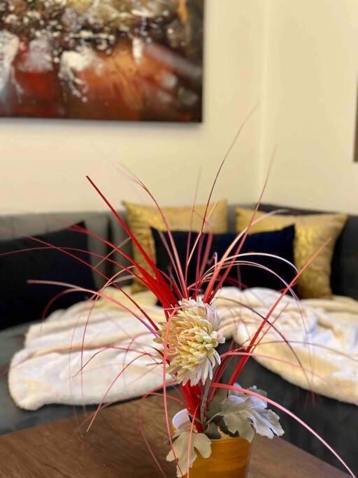 Centre-ville , Cosy Appart , Gueliz Marrakesh