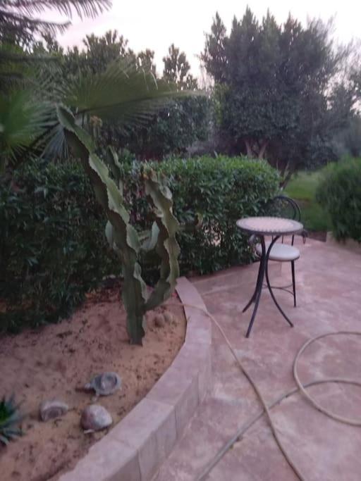 Private With Private Chef Optional * Marrakesh
