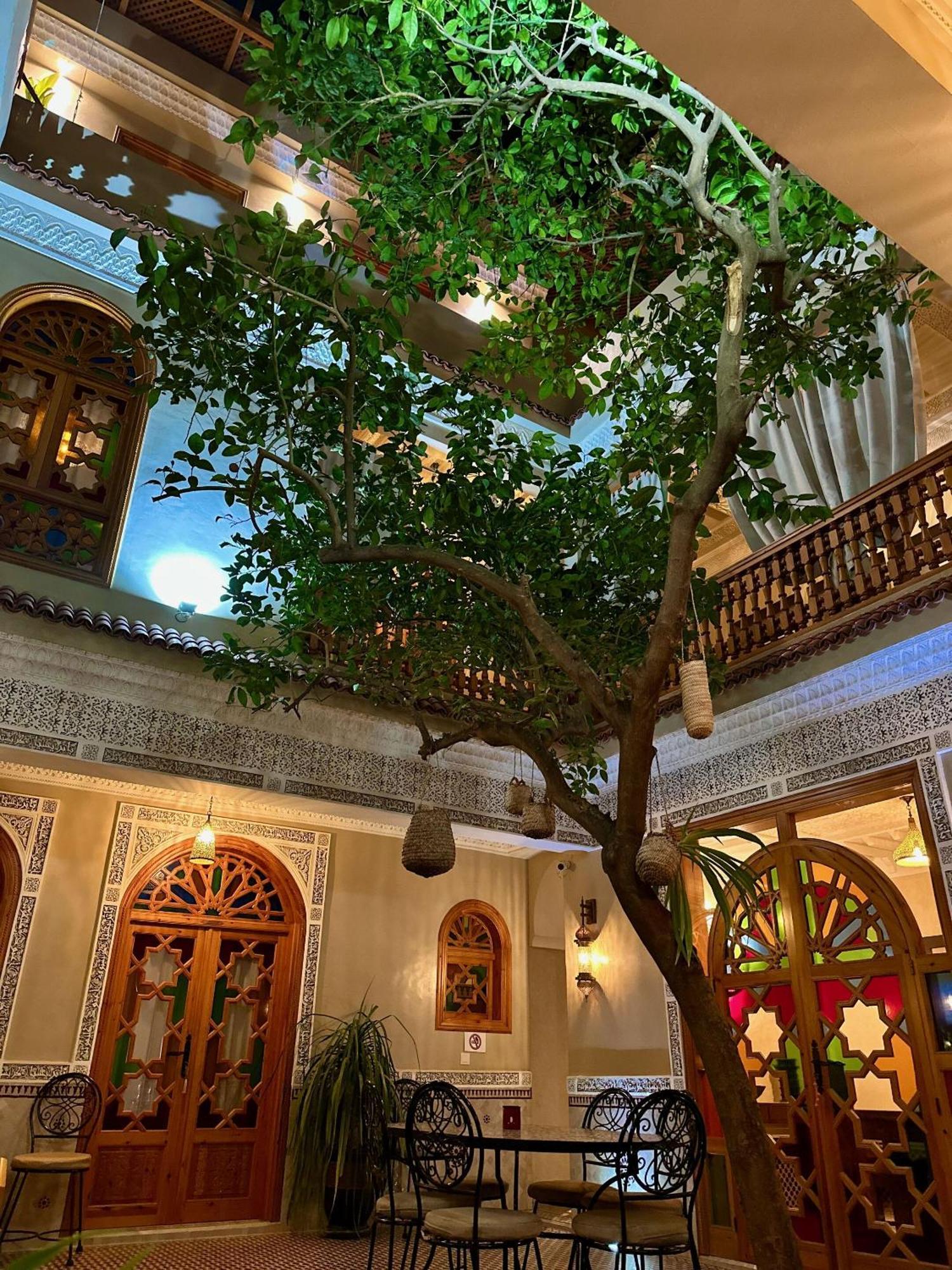 Shajara Riad 3*