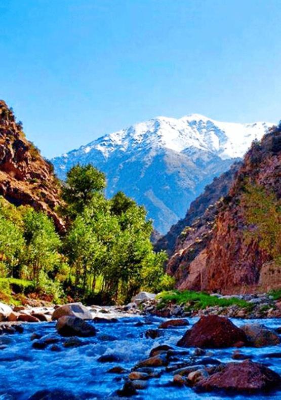 Ourika Atlas Vu Panoramique Avec Piscine Privee *