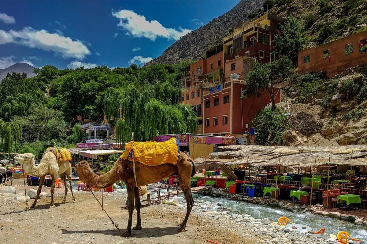 Ourika Atlas Vu Panoramique Avec Piscine Privee Marrakesh